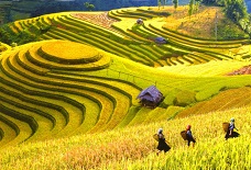 8 Days 7 Nights Hanoi-Halong-Sapa Trekking Tour