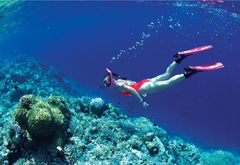 Nha Trang Full Day Cultural Trip