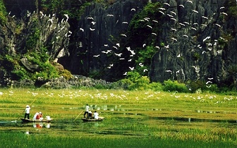  Trang An Ecotourism Complex- Bai Dinh Pagoda Tour
