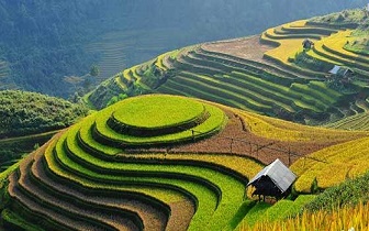 Mai Chau full day private tour