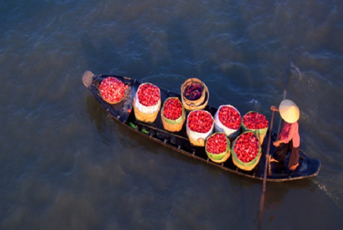15-Day Tour of Vietnam from North to South