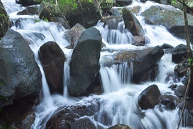 Excursion Above The River At The Easten Phu Quoc Island