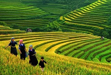Sapa Tour 3 Nights 2 Days By Night Train